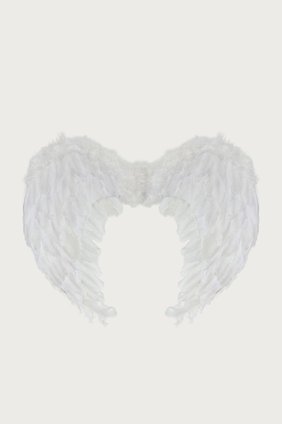 Fallen Angel Wings