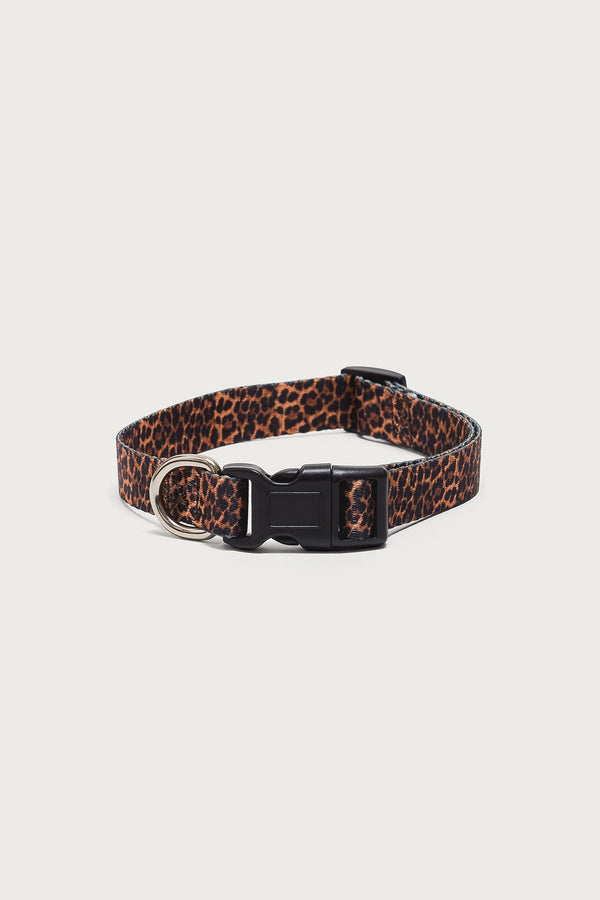 Leopard Print Pet Collar view 2