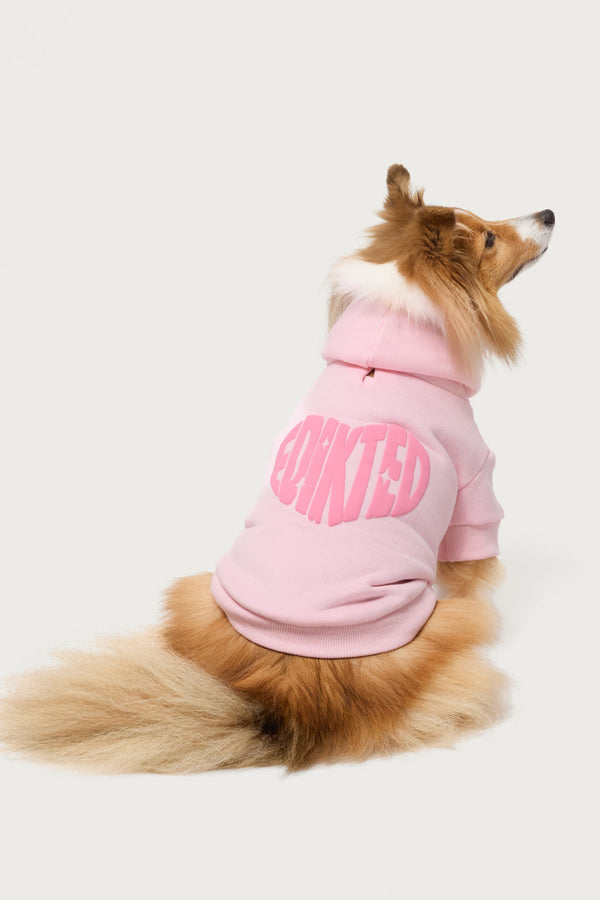 Major Love Edikted Pet Hoodie view 2