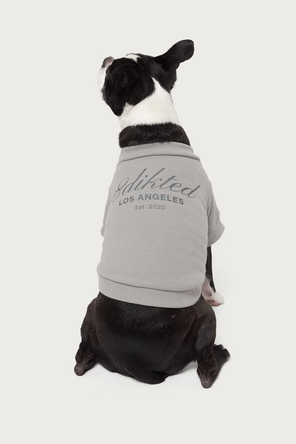 Get Edikted Pet Sweatshirt view 1