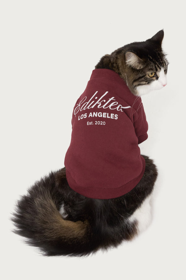 Get Edikted Pet Sweatshirt view 1