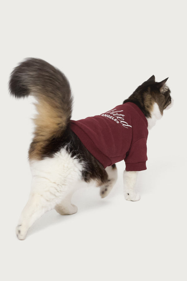 Get Edikted Pet Sweatshirt view 2