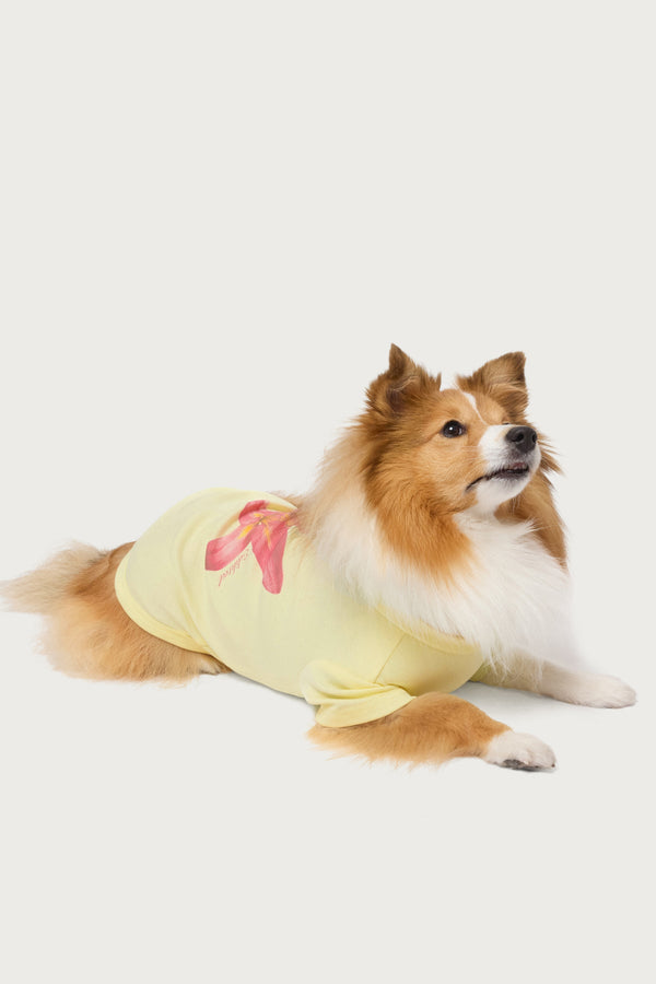 Daylily Pet T Shirt view 2