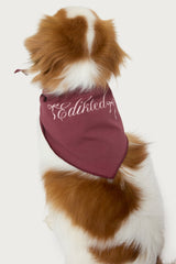 Sasha Bow Pet Bandana