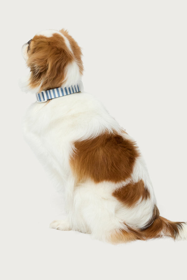 Striped Pet Collar view 1