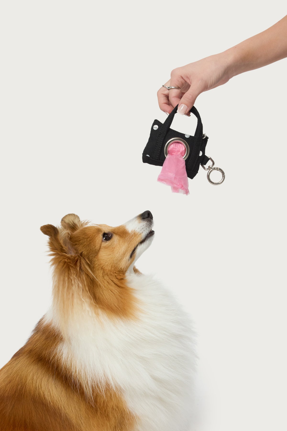 Tidy Tote Poop Bag Holder