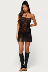 Sophina Fringed Sheer Lace Mini Dress