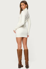Turtle Neck Ribbed Knit Mini Dress