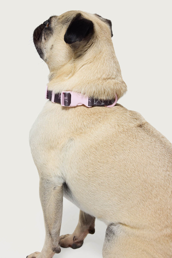 Bonney Bow Pet Collar view 1