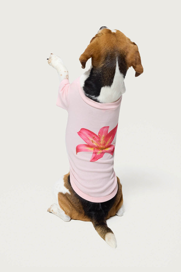 Daylily Pet T Shirt view 1