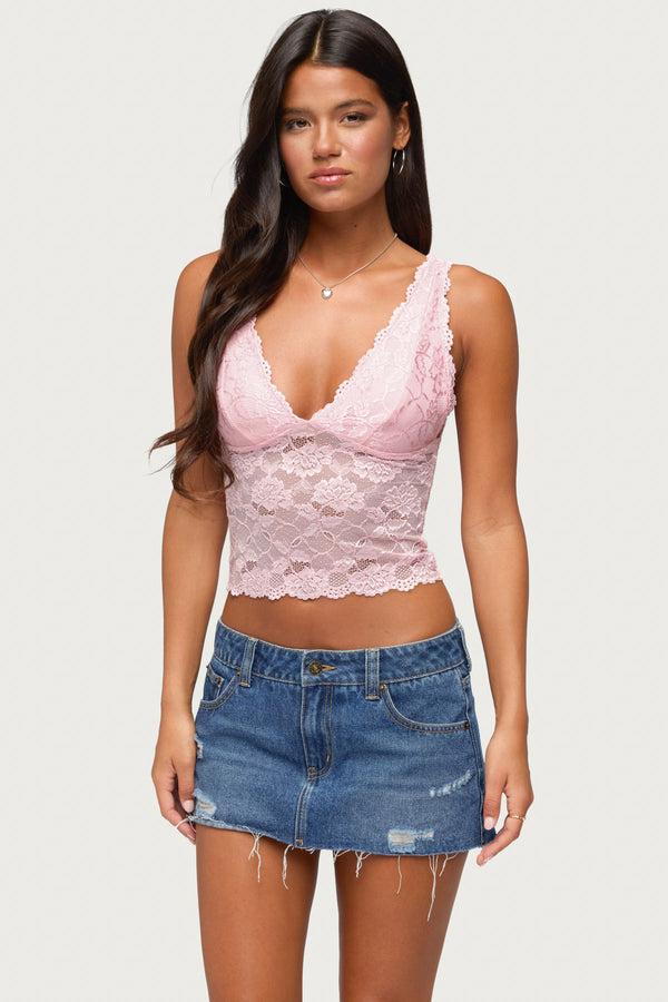 Vanya Sheer Lace V Neck Top view 1