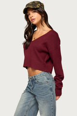Sandi V Neck Knit Sweater