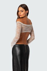 Sainty Sheer Lace Crop Top