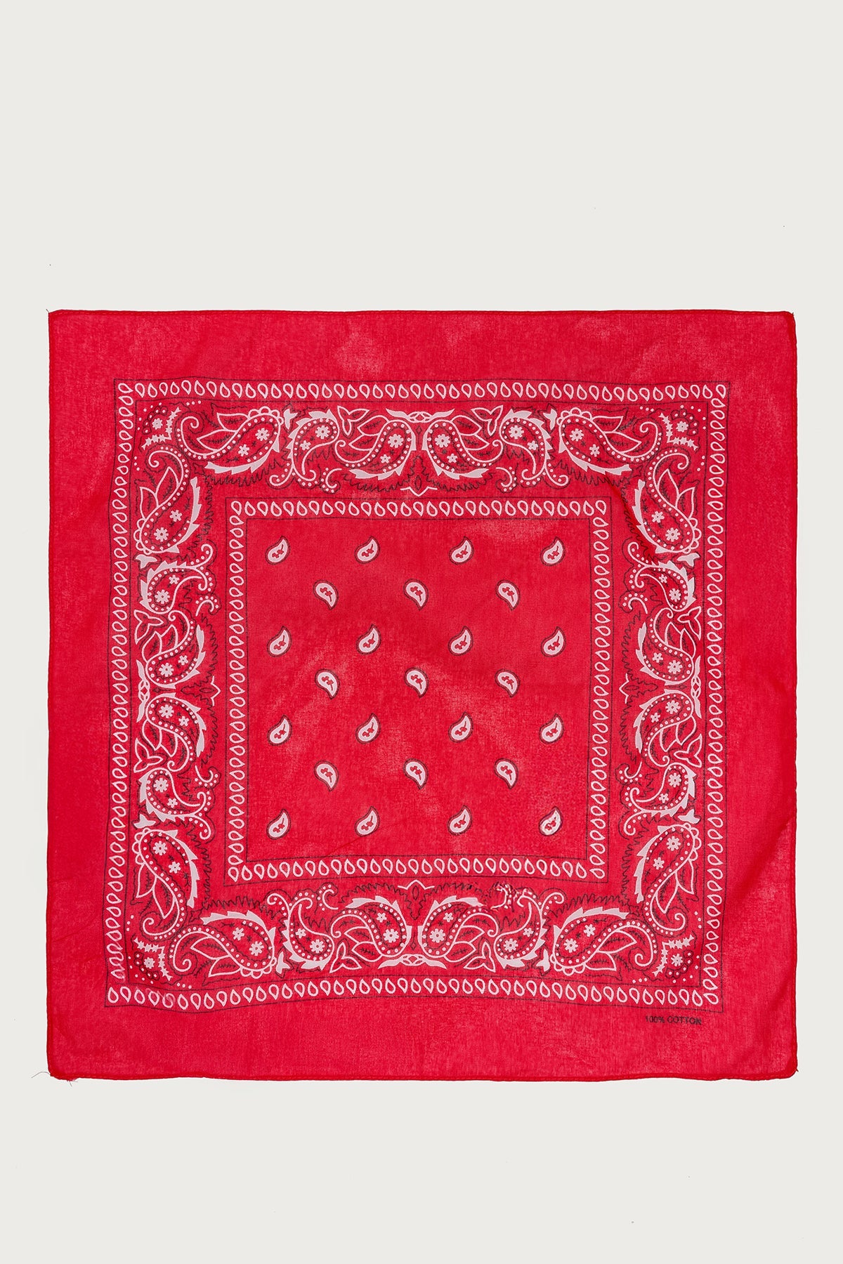 Rodeo Ready Bandana