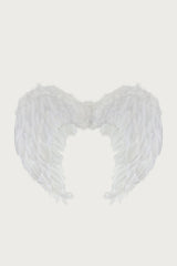 Fallen Angel Wings