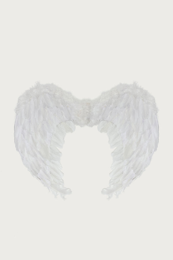 Fallen Angel Wings