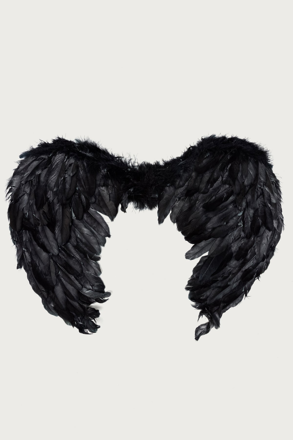 Fallen Angel Wings