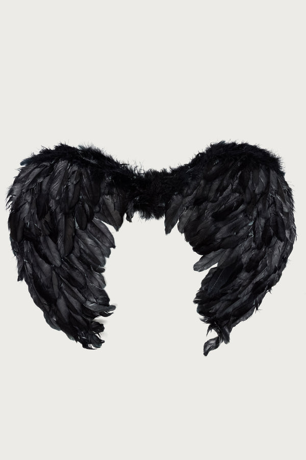 Fallen Angel Wings