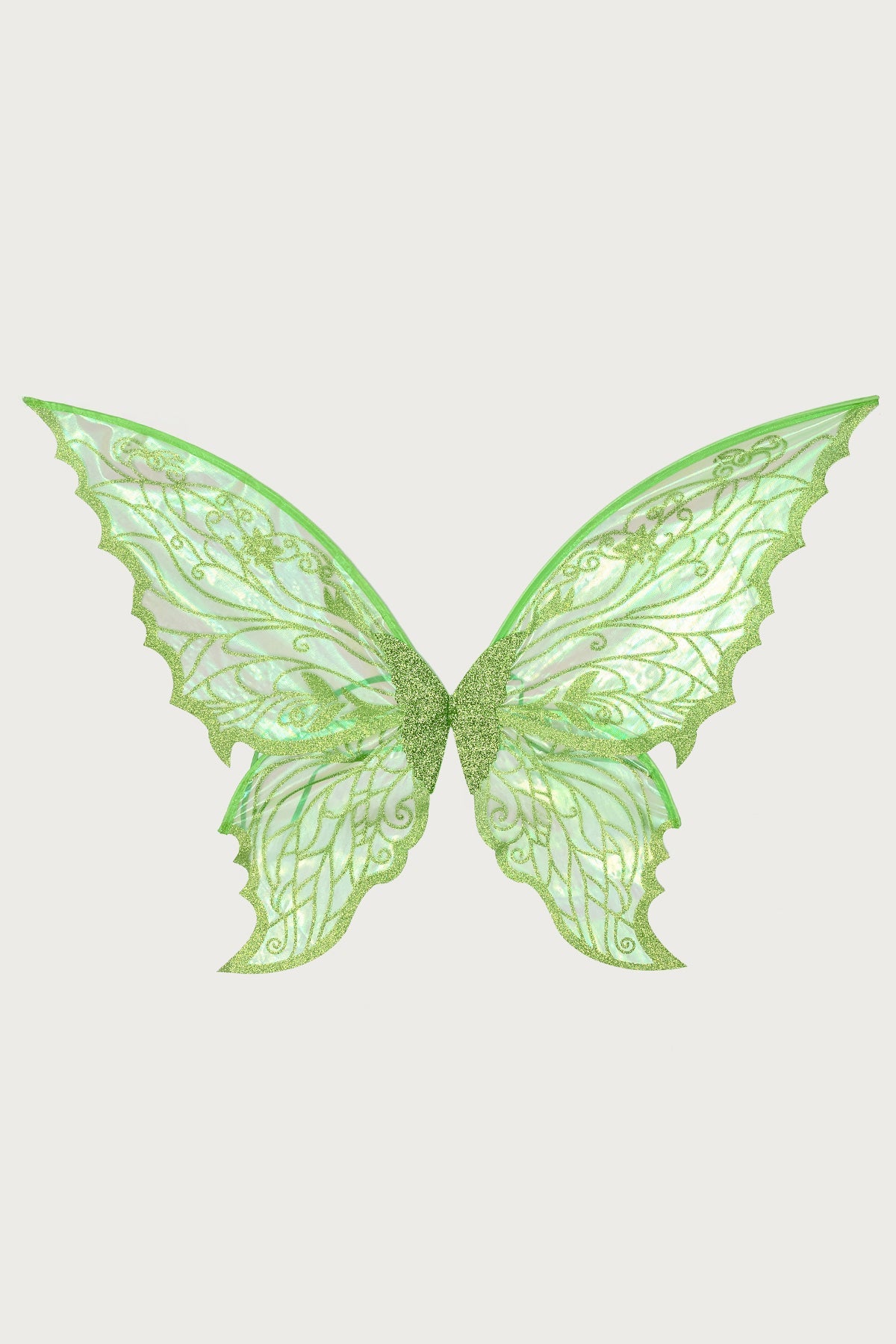 Enchanted Sheer Fairy Wings