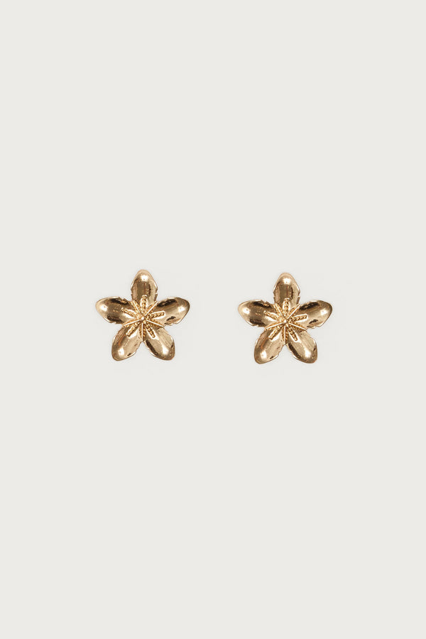 Tropical Fleur Stud Earrings