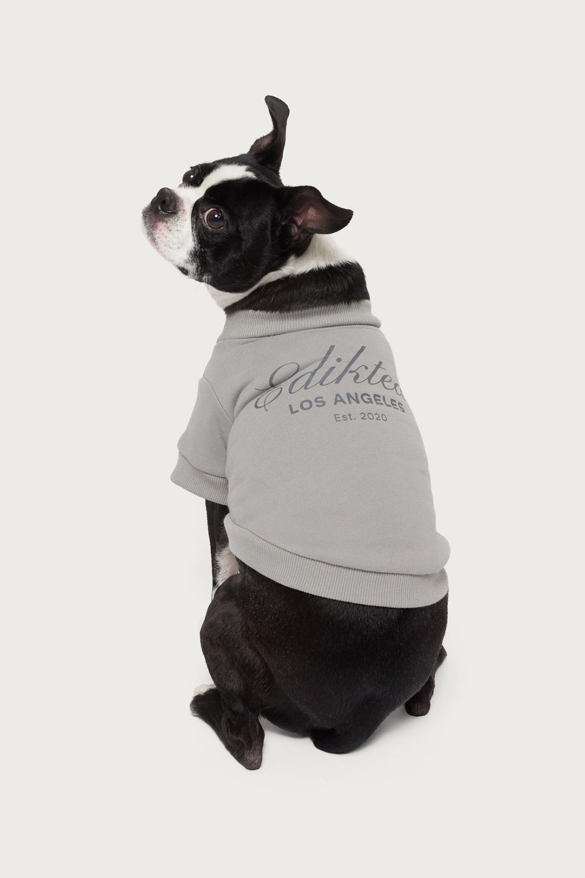 Get Edikted Pet Sweatshirt