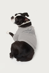 Get Edikted Pet Sweatshirt