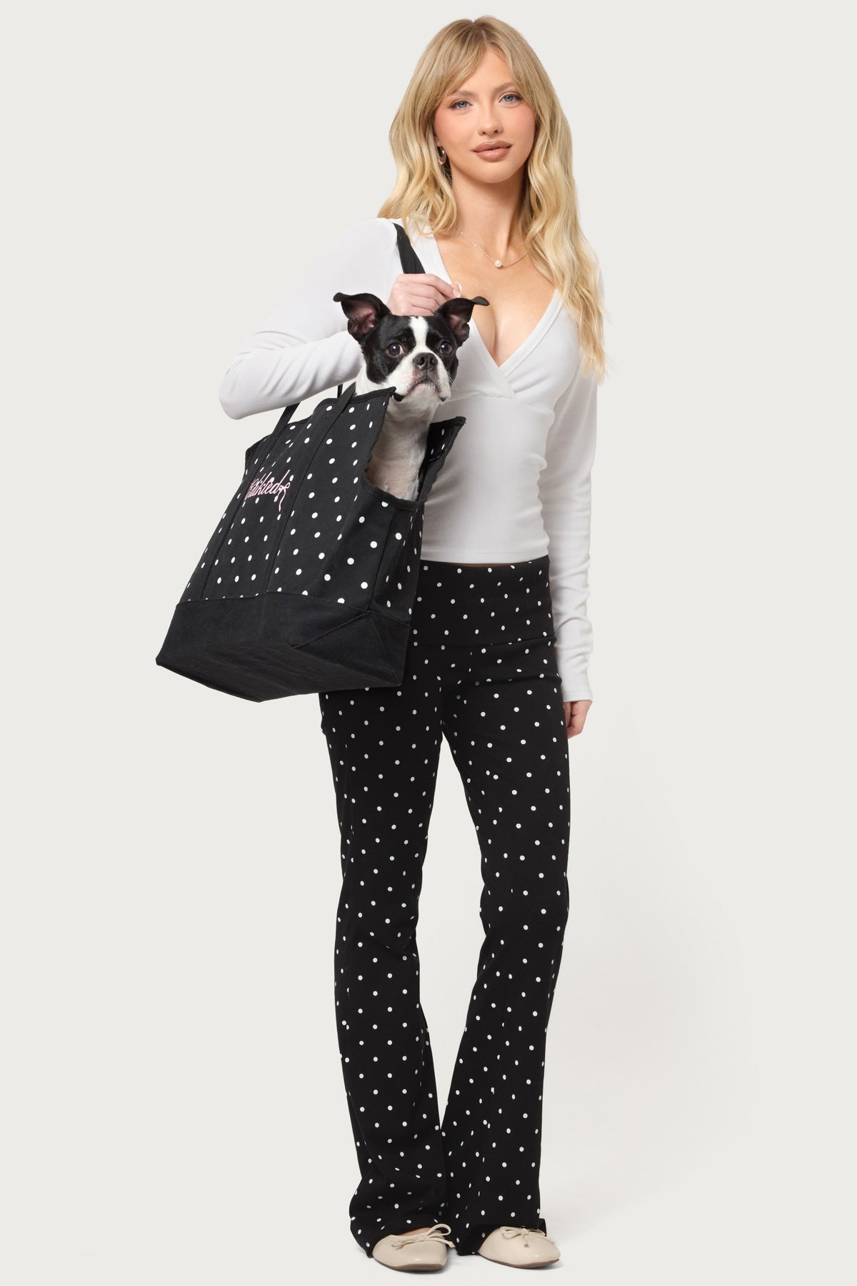 Polka Dot Pet Carrier Tote Bag