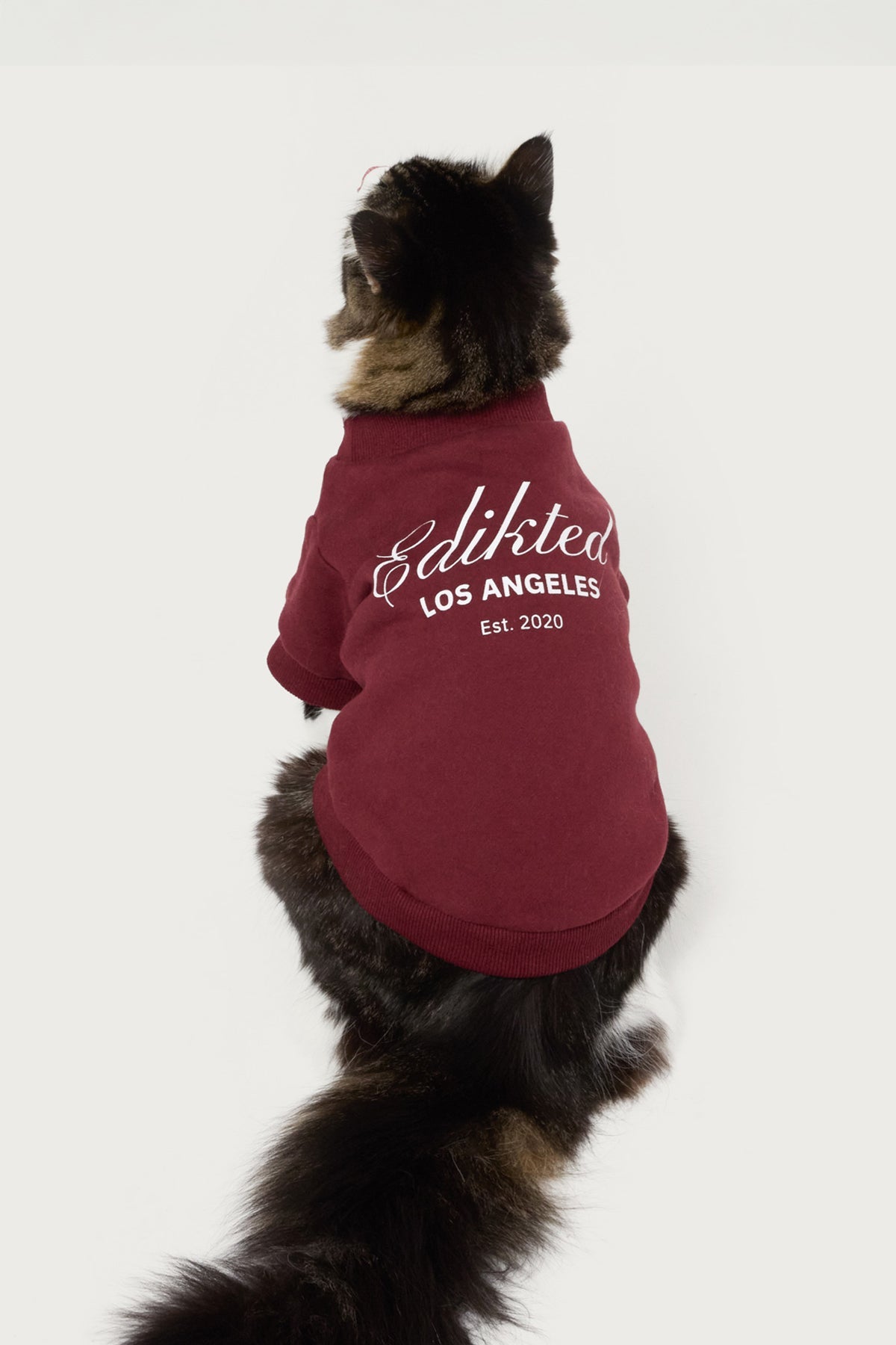 Get Edikted Pet Sweatshirt