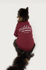 Get Edikted Pet Sweatshirt