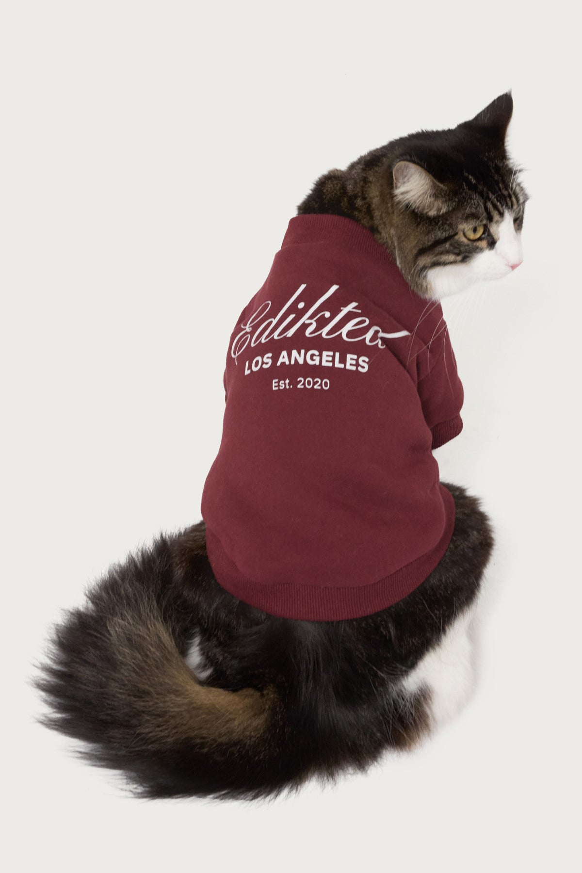 Get Edikted Pet Sweatshirt