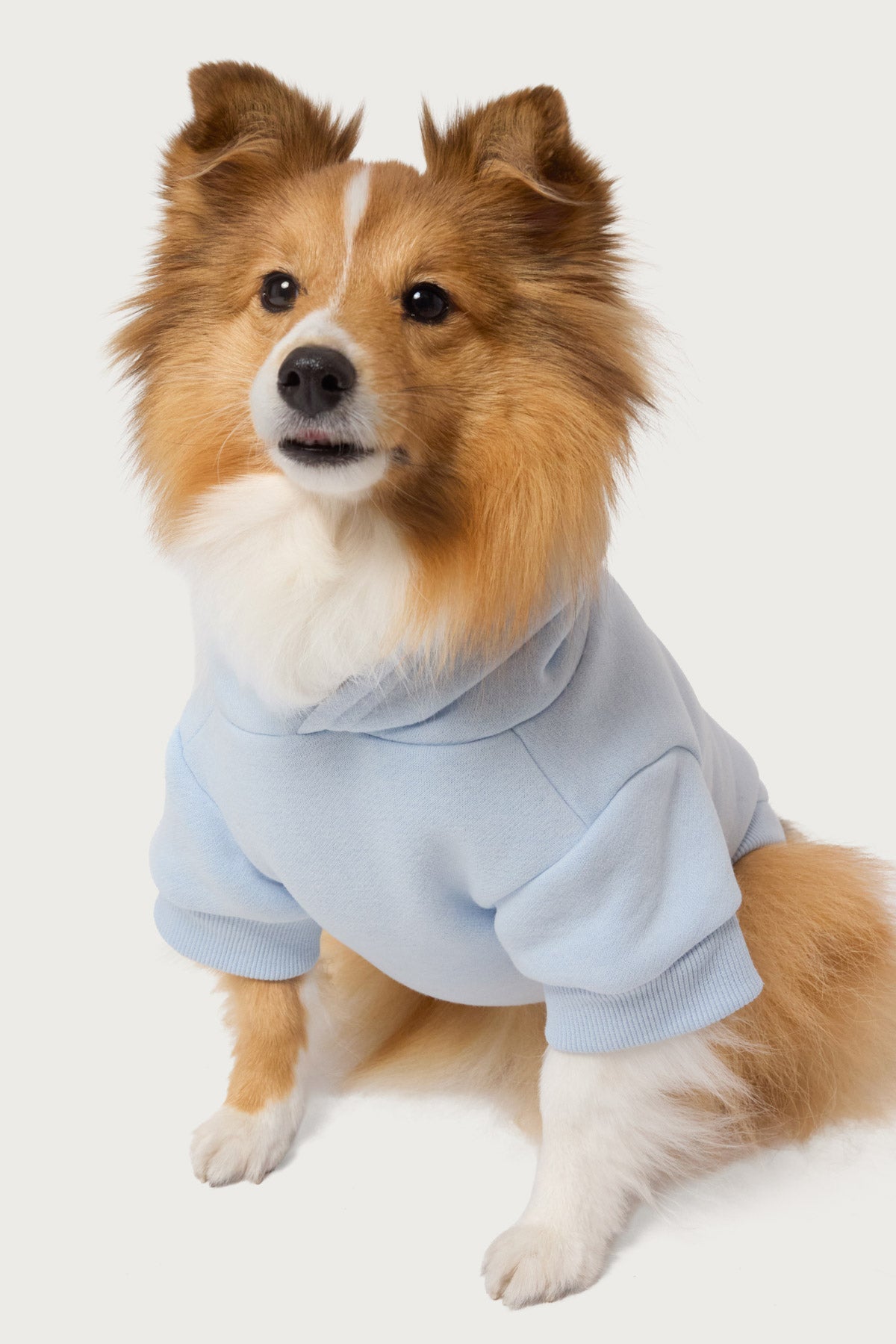 Bonney Bow Pet Hoodie