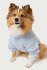 Bonney Bow Pet Hoodie