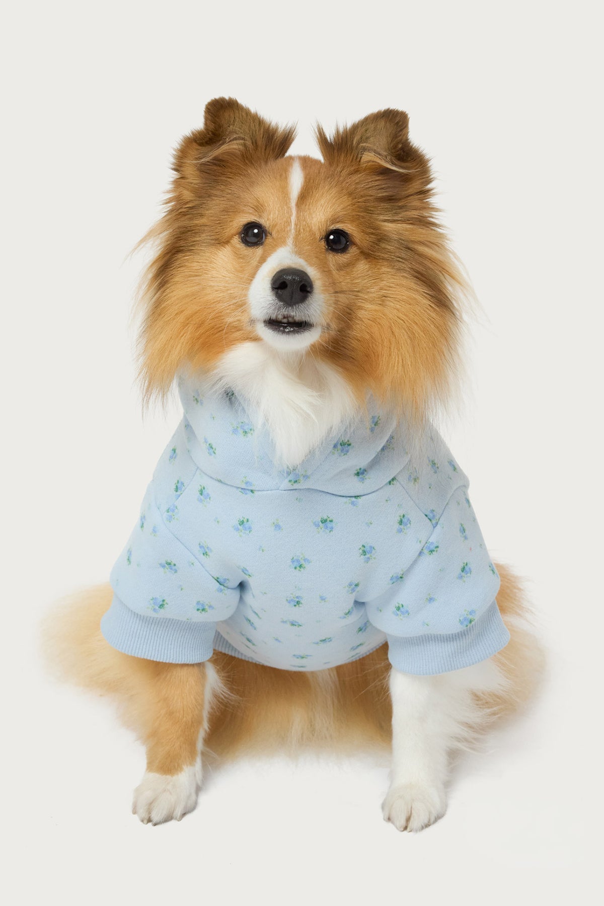 Flower Power Pet Hoodie