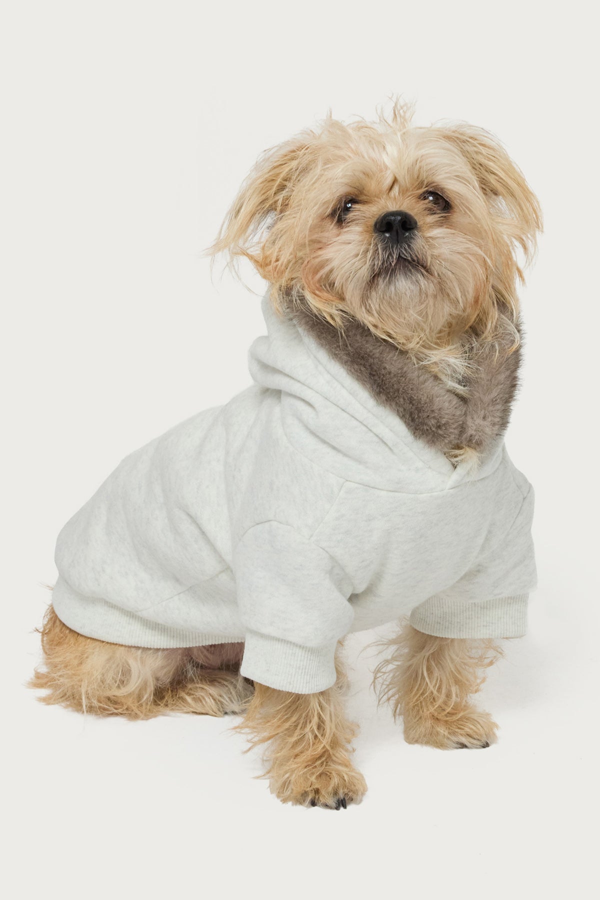 Faux Furry Pet Hoodie