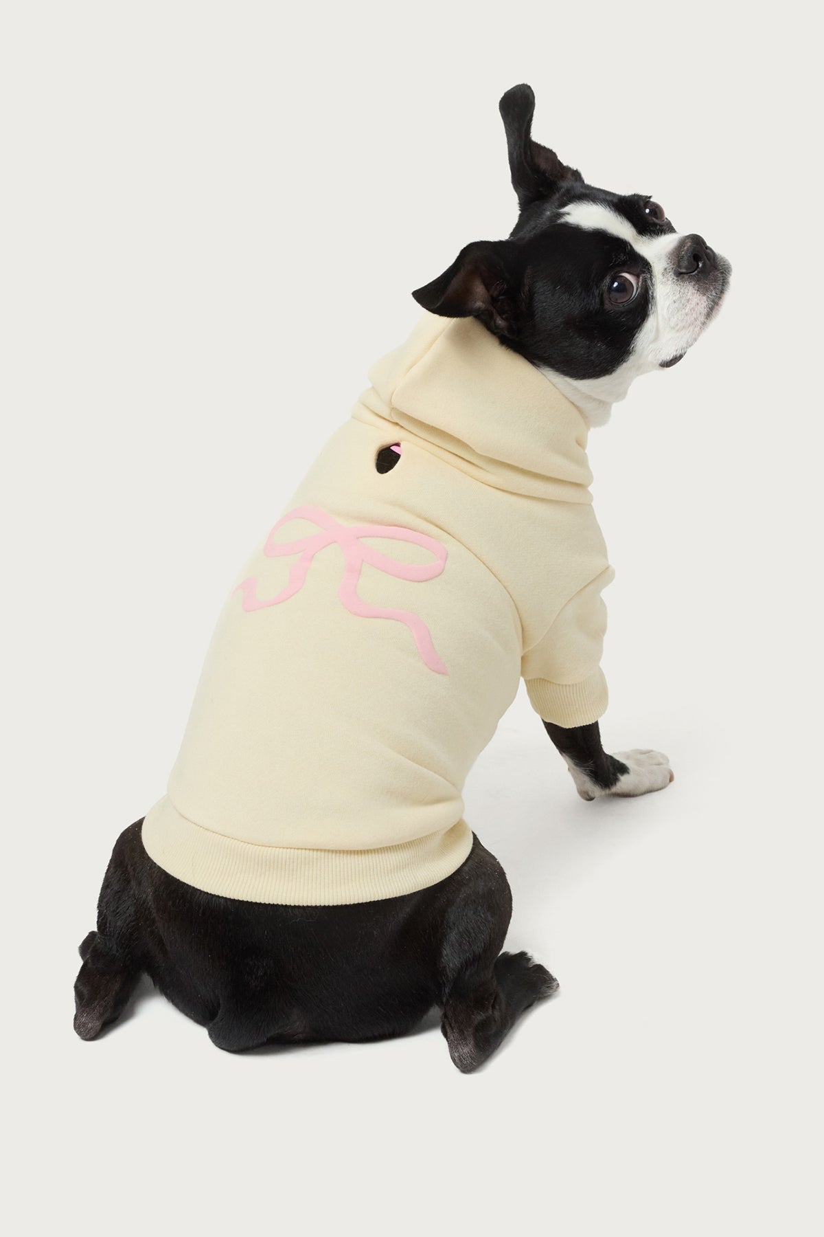 Bonney Bow Pet Hoodie