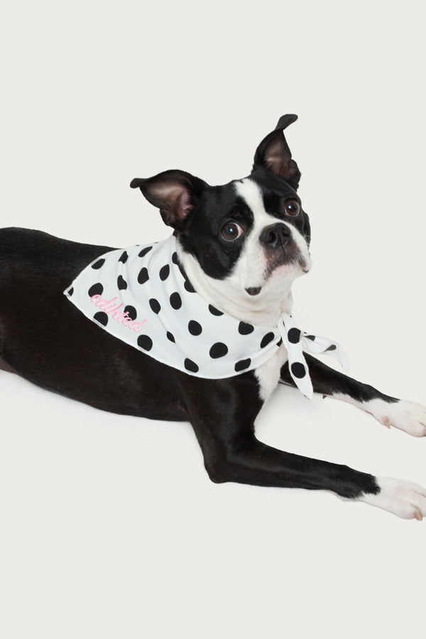 Pawka Dot Edikted Pet Bandana