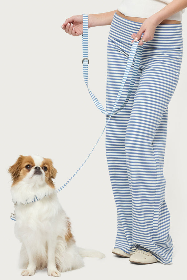 Striped Pet Leash