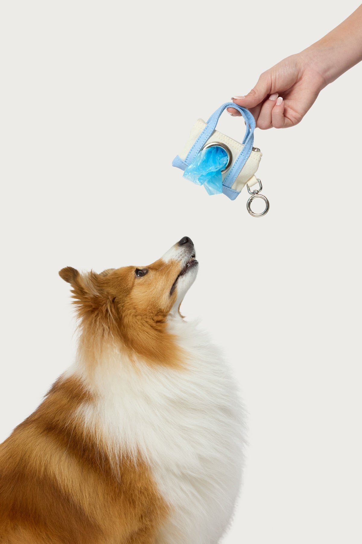 Tidy Tote Poop Bag Holder