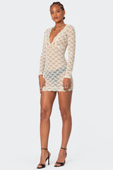 Beck Plunge Neck Sheer Lace Mini Dress