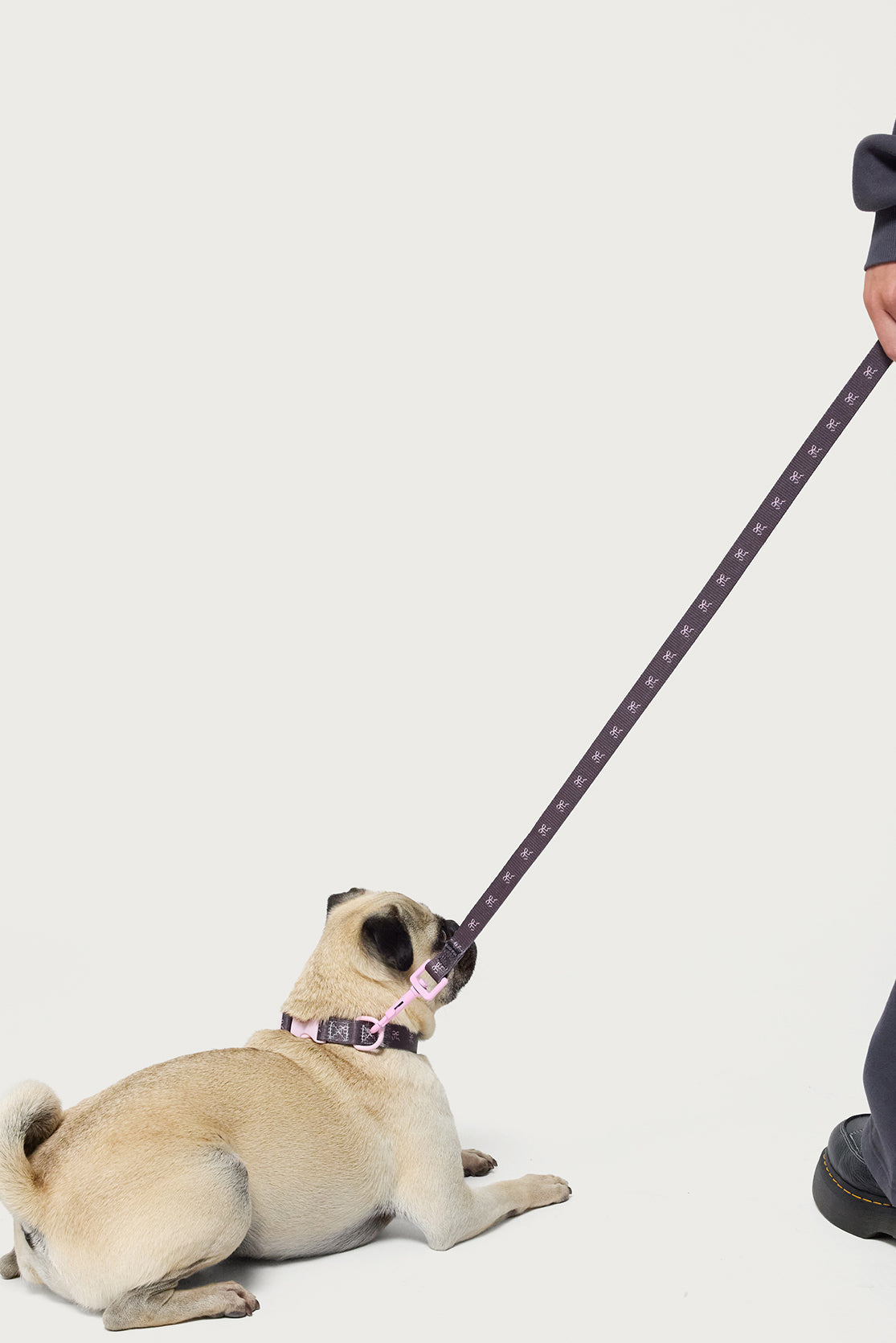 Bonney Bow Pet Leash