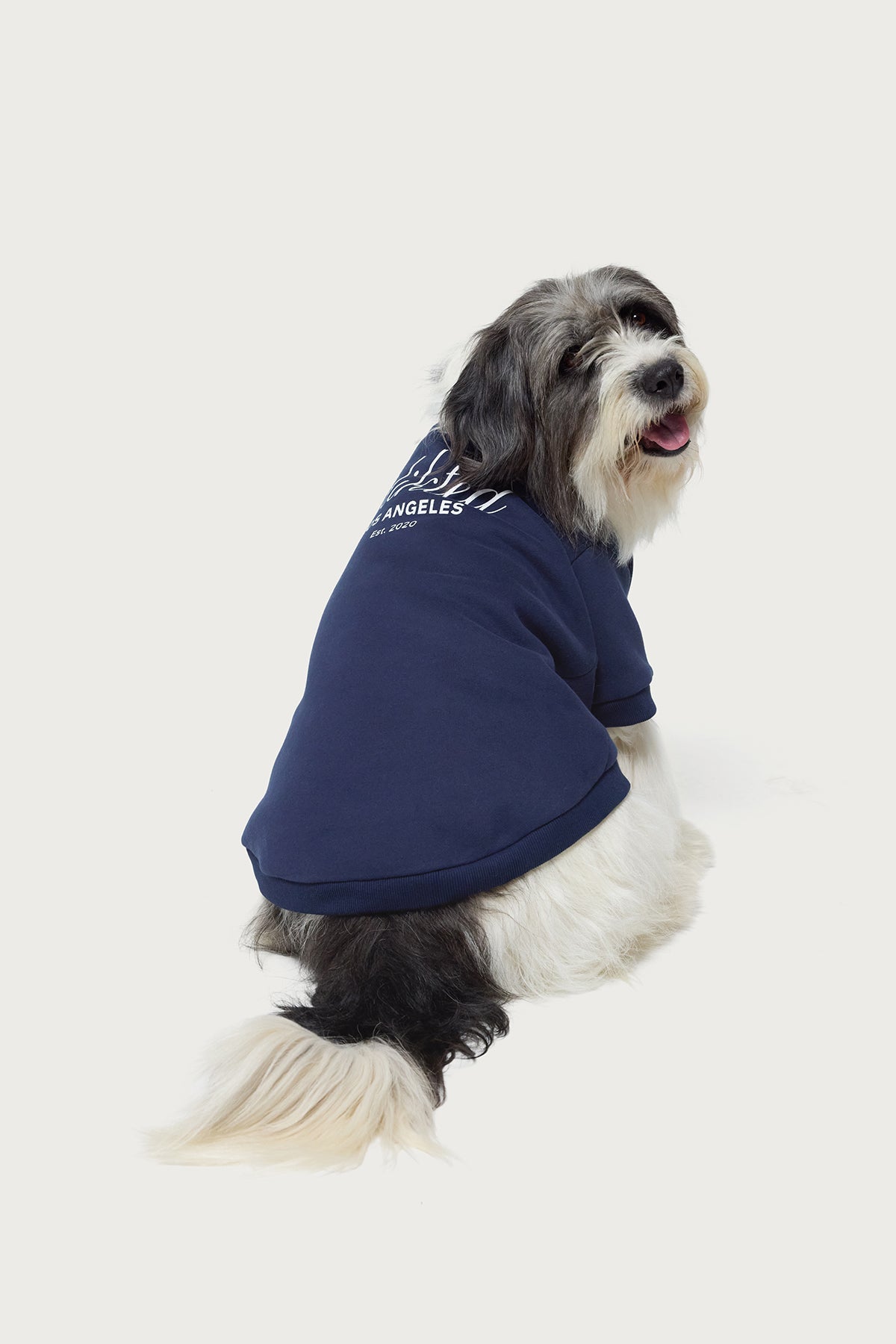 Get Edikted Pet Sweatshirt