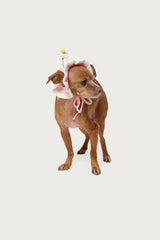 Petal Pet Crochet Hat
