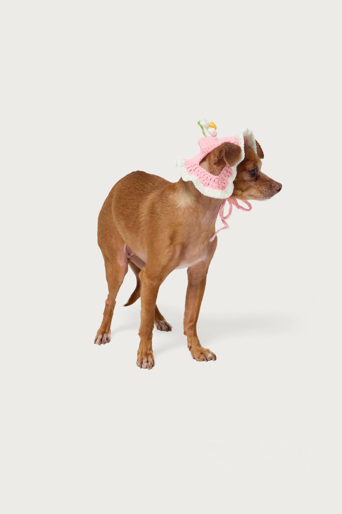 Petal Pet Crochet Hat