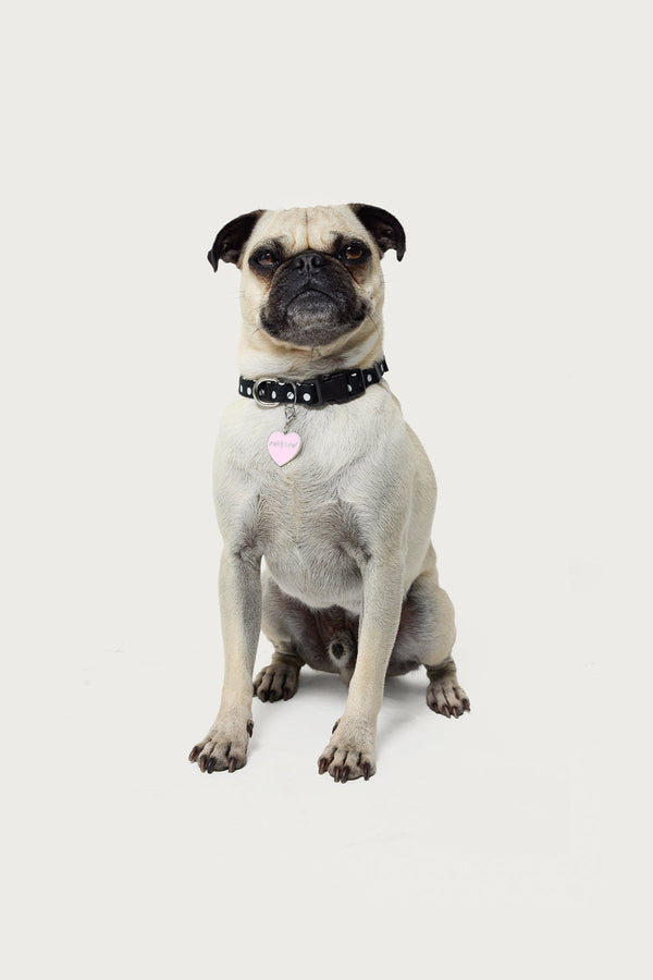 Heart Throb Collar Charm