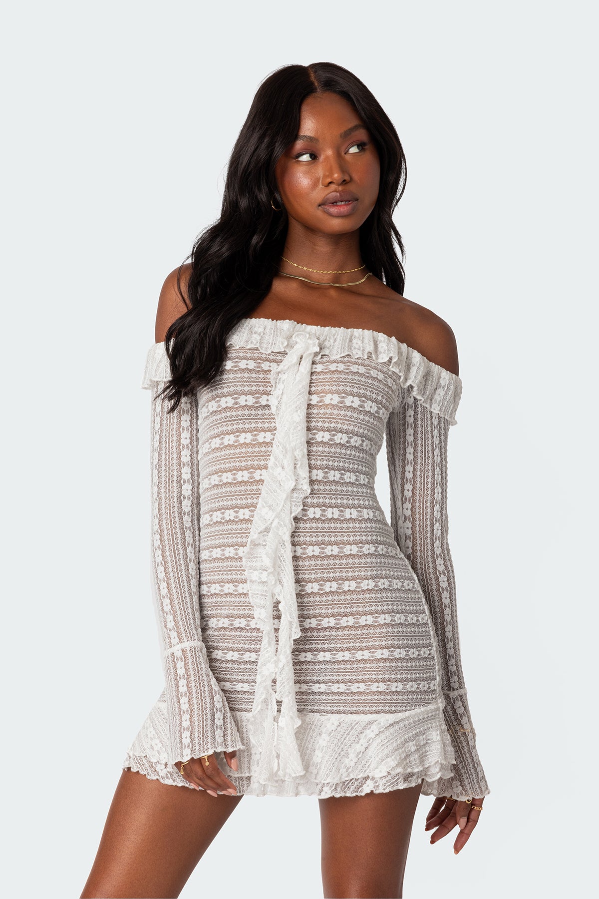 Textured Sheer Lace Mini Dress