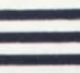 NAVY-AND-WHITE