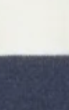 NAVY-AND-WHITE