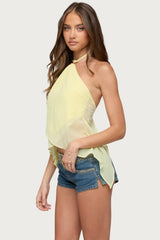 Chiffon Split Open Back Halter Top