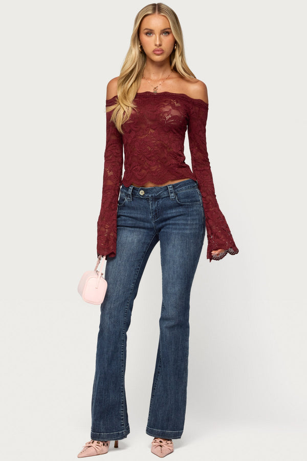 Jasha Sheer Lace Long Sleeve Top view 2